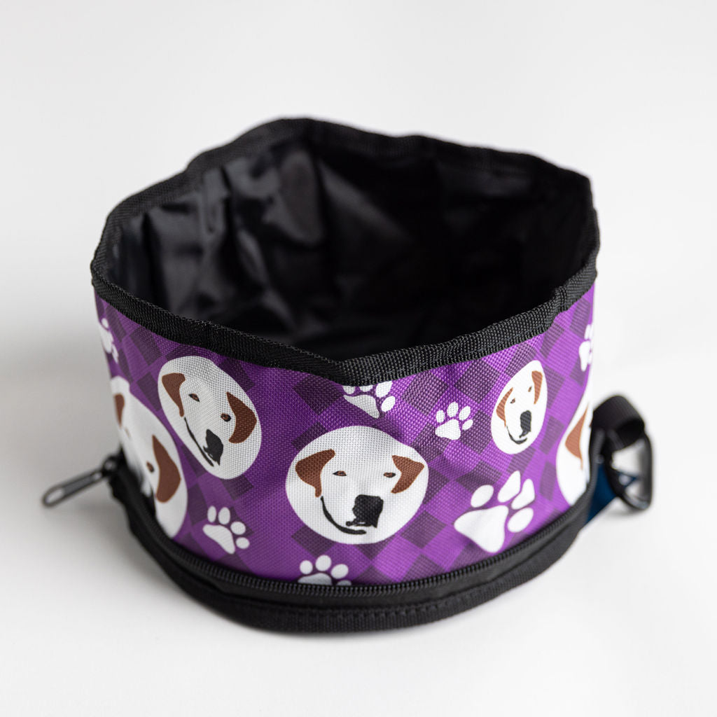 NEW Hugo Travel Dog Bowl
