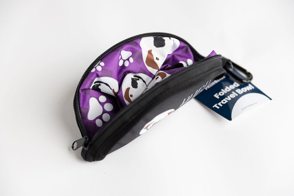 Hugo Travel Dog Bowl