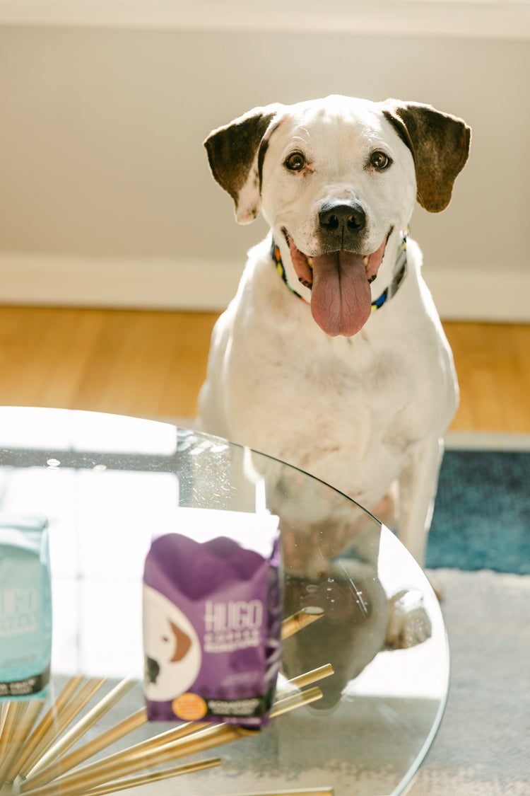 About Us Hugo Coffee Roasters