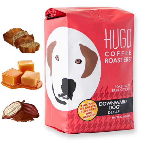 Hugo Coffee Polar Tumbler Gift Pack  New Trick Cold Brew + Insulated  Tumbler – Hugo Coffee Roasters